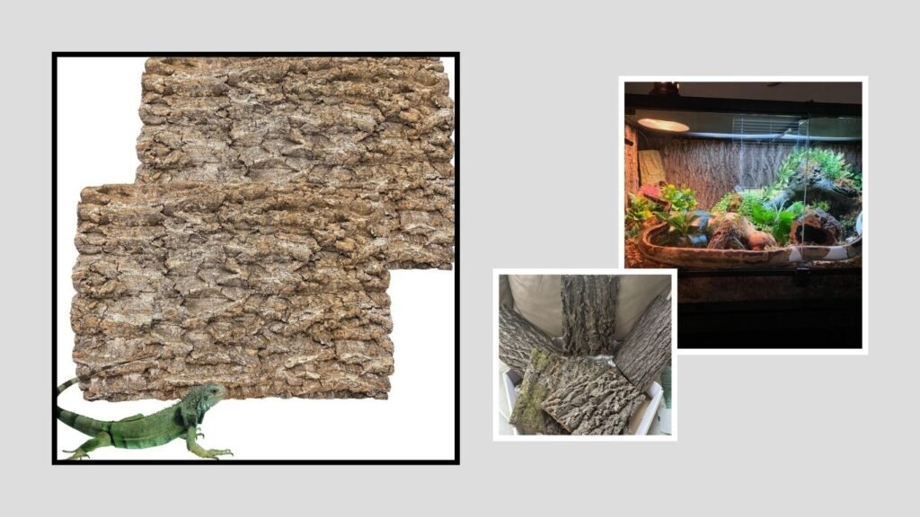 Reptile Climbing Cork Bark Decoration – Best for Climbing