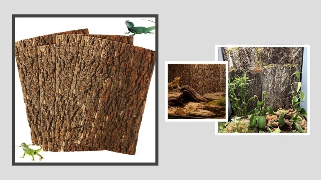 STARVAST Cork Terrarium Background – Best for Full Wall Coverage