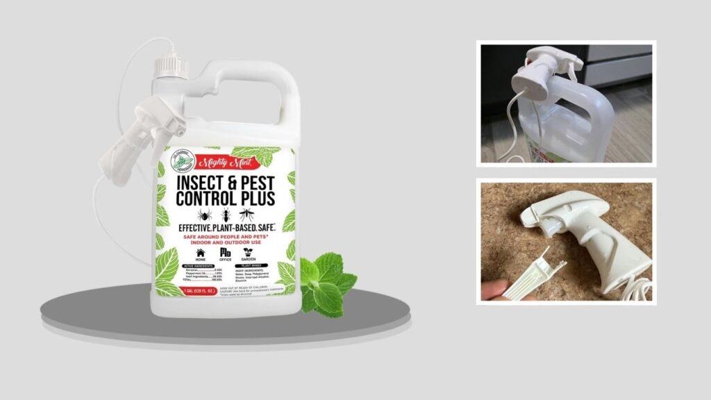Mighty Mint Spider Repellent Spray