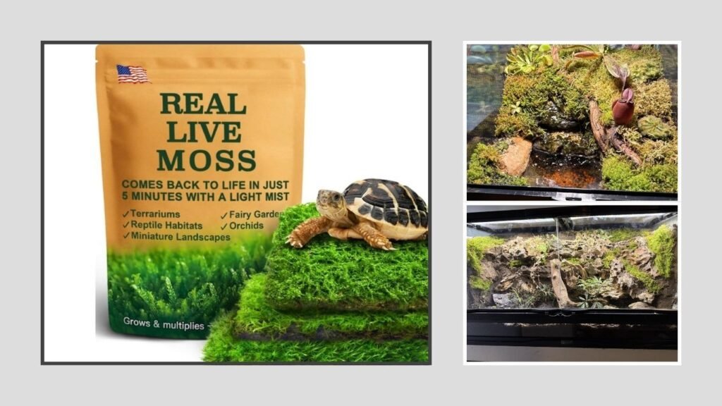 LUCKYRUNES Terrarium Moss for Reptile Enclosures
