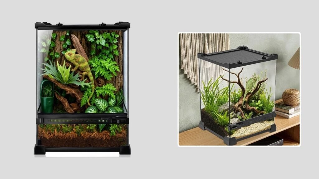 Vertical Rainforest Reptile and Tarantula Terrarium