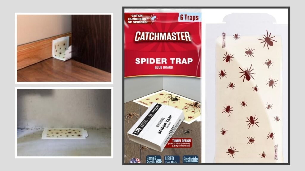  Catchmaster Spider Traps Glue Boards – 6 Pack
