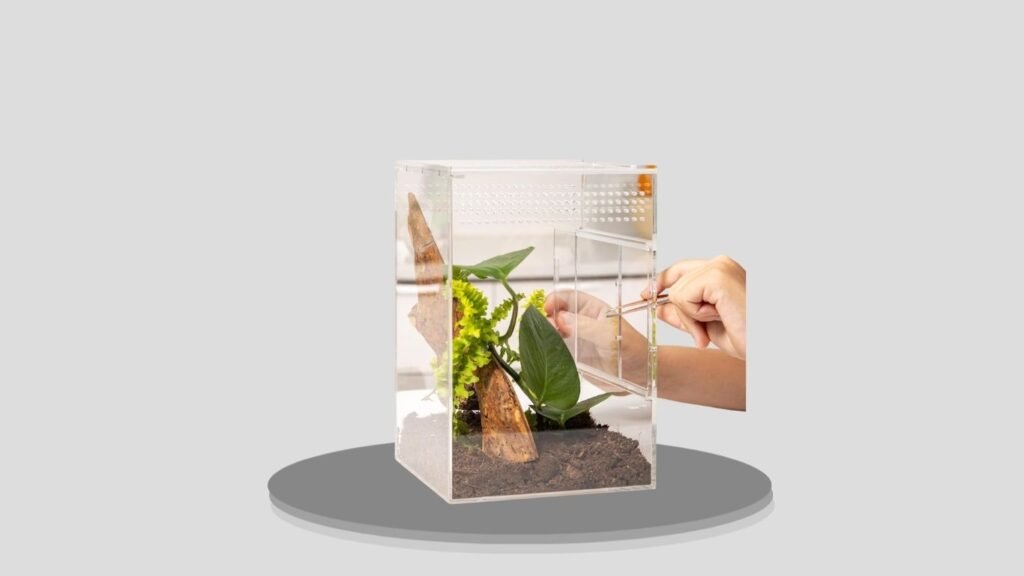 EctoTherm Arboreal Tarantula Enclosure