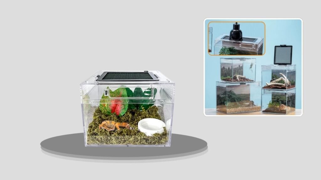 Acsist Ventilated Spider & Reptile Terrarium Kit