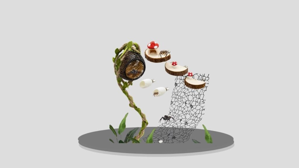 Jumping Spider Habitat Accessories for Enclosure