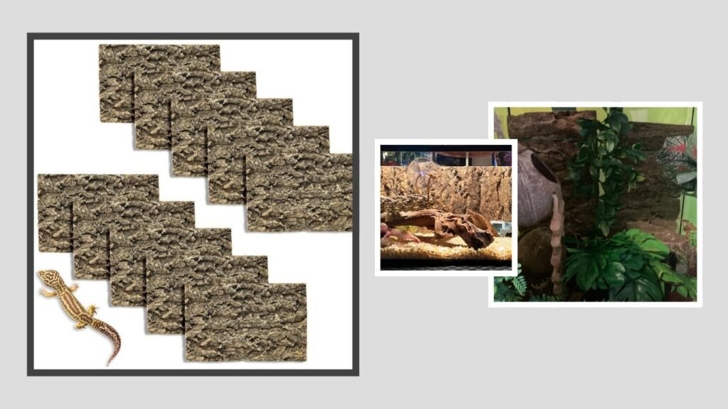 Fhiny Cork Bark Background – Best for Reptile Terrarium Walls