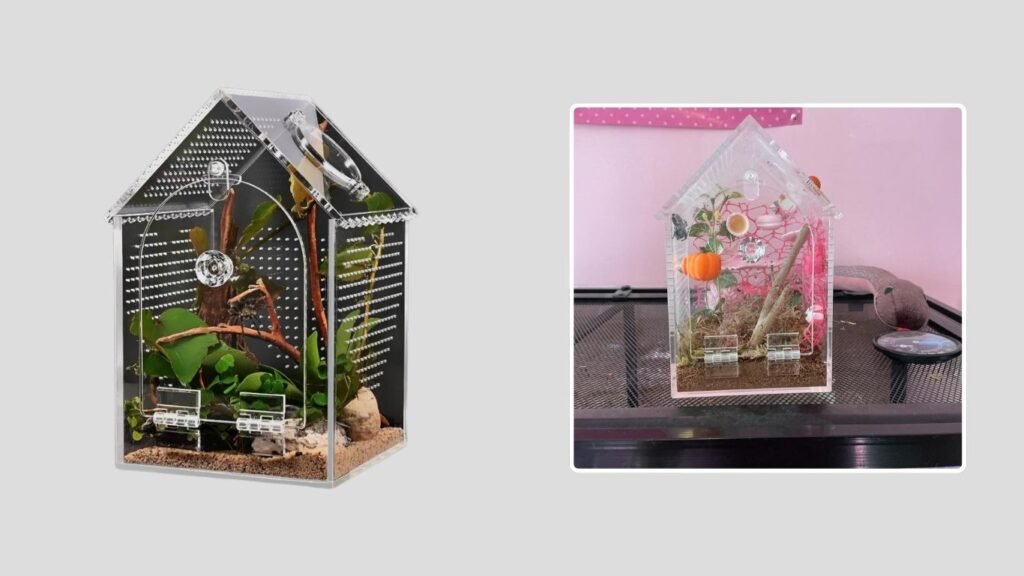 Cycodo Warp-Proof Tarantula Terrarium