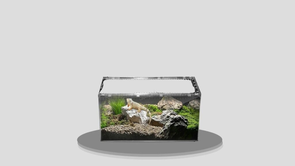Clioran Polycarbonate Tarantula Terrarium