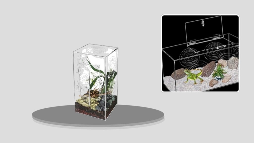 Jumping Spider Acrylic Enclosure With Accessories