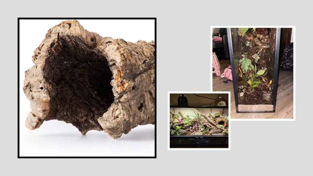 Galápagos Natural Cork Bark – Best for Premium Natural Decor