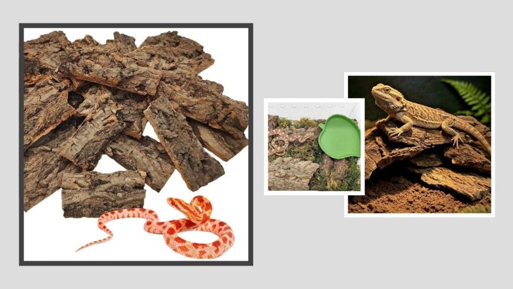 VCEPJH Natural Cork Bark – Best for Custom Terrarium Layouts