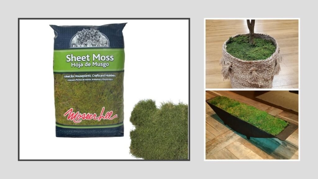 Mosser Lee Natural Green Moss