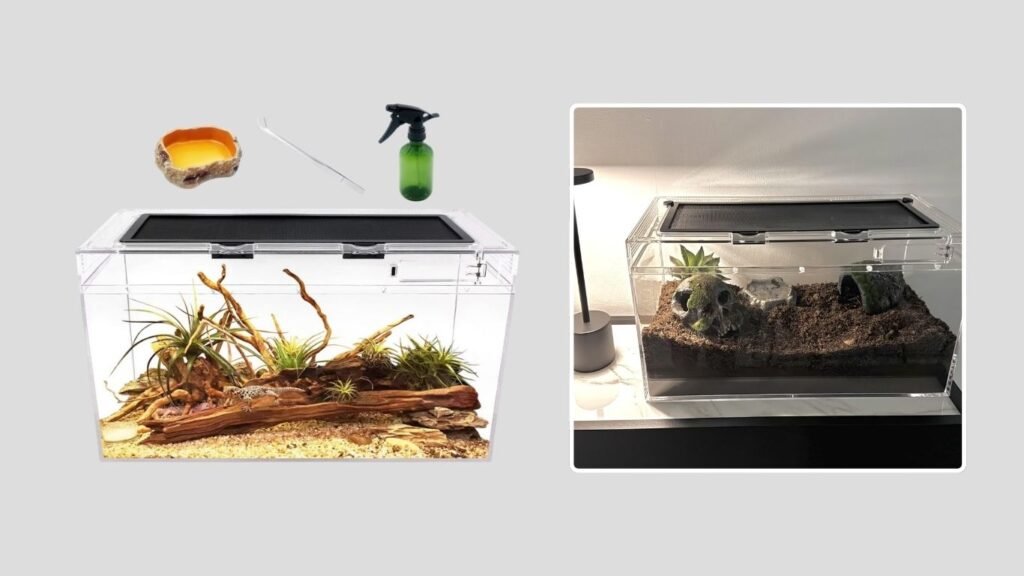 Reptile Growth 10-Gallon Terrarium