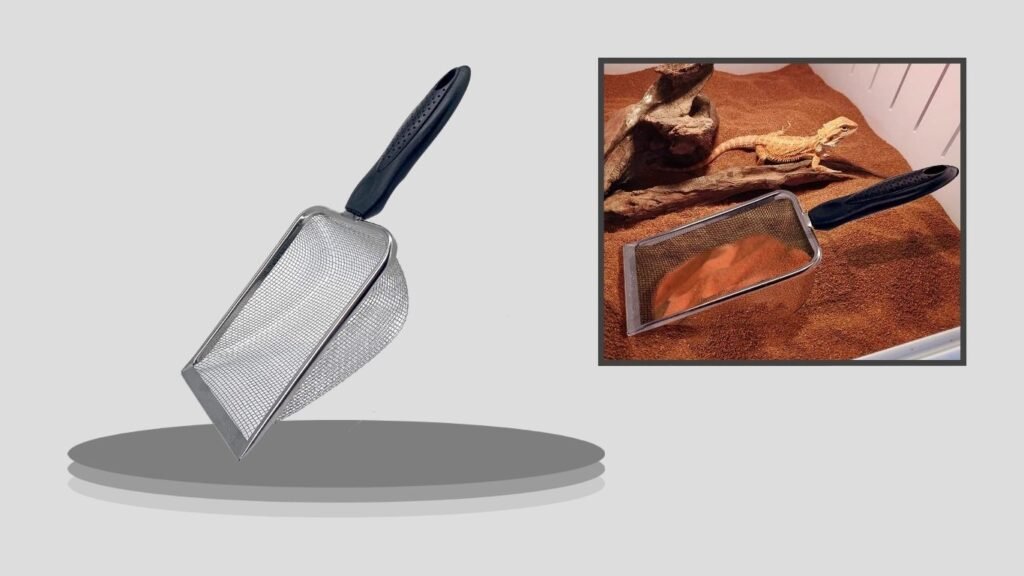 Casidoxi Falltail Stainless Steel Reptile Substrate Scoop