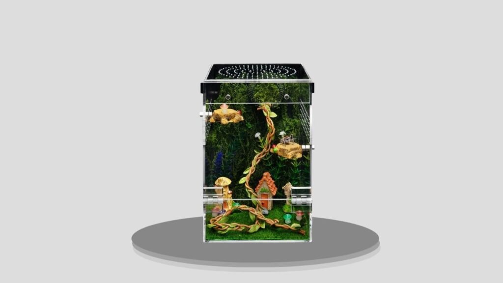 Clioran Transparent Spider & Tarantula Terrarium