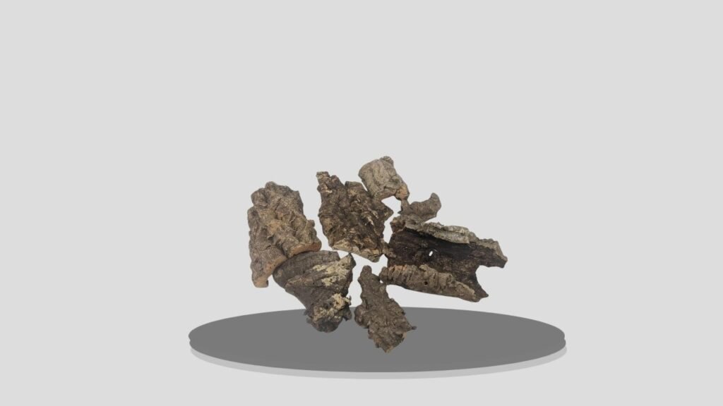 Botanicals Cork Bark Bits for Springtails & Terrariums