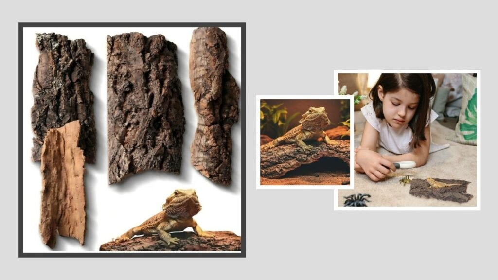 Natural Reptile Cork Bark – Best for Ground-Dwelling Reptiles