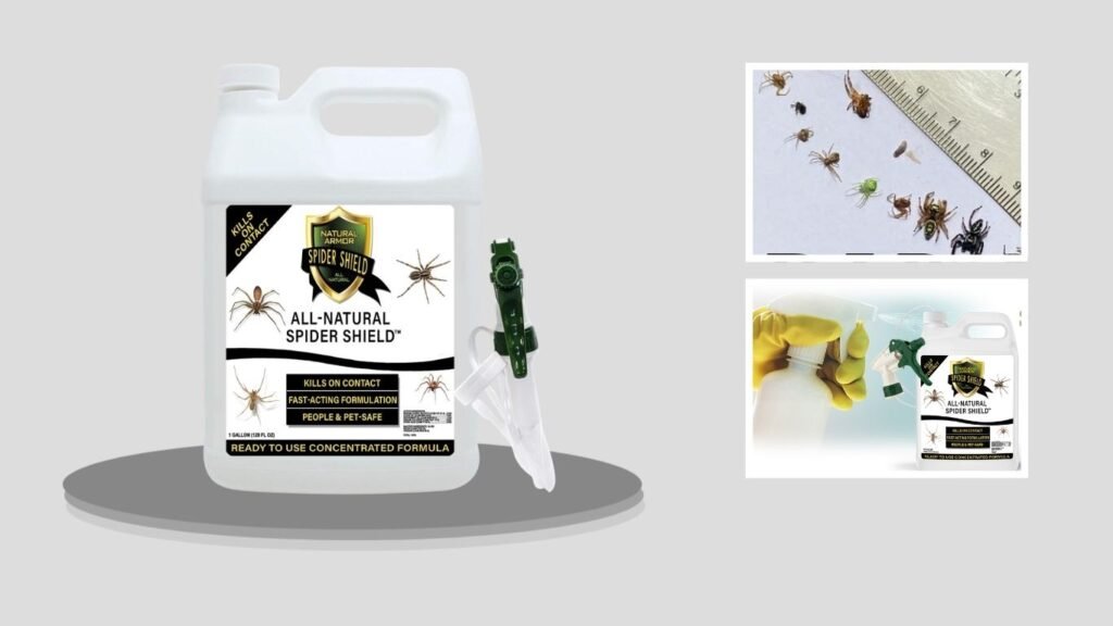Spider Killer & Repellent Spray