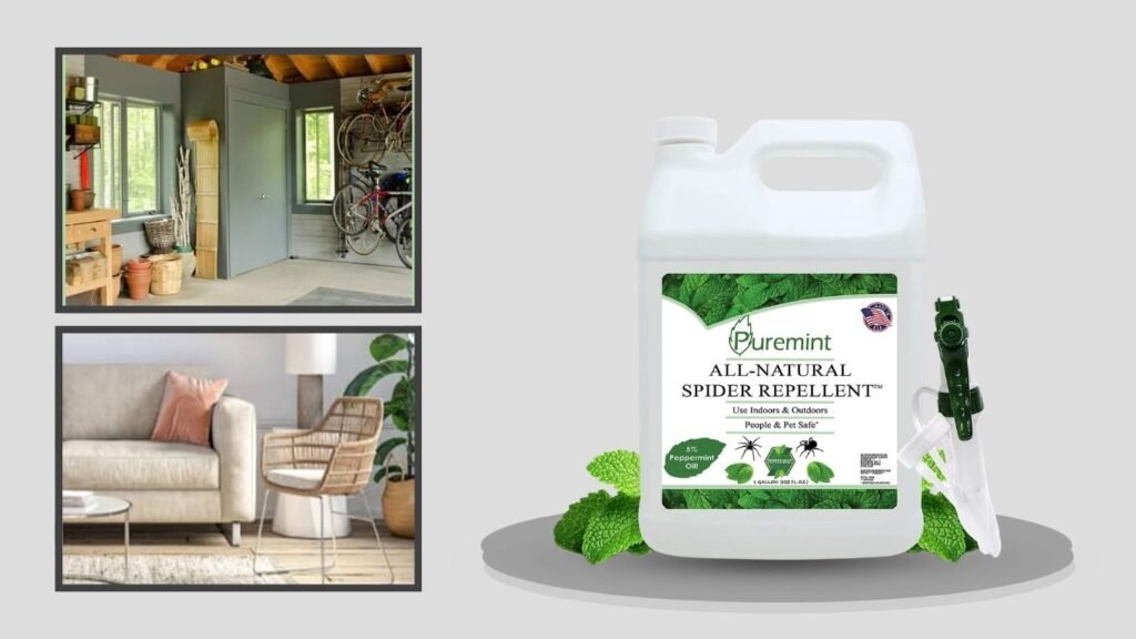 Puremint Natural Peppermint Spider Repellent
