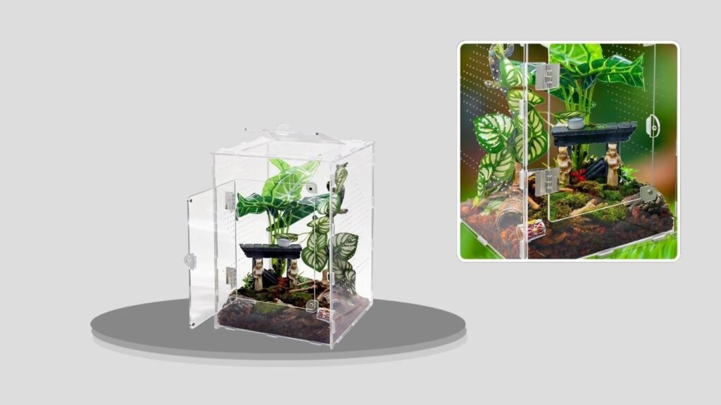 MaryCarrie 8.5 × 8.5 × 12-Inch Spider Enclosure