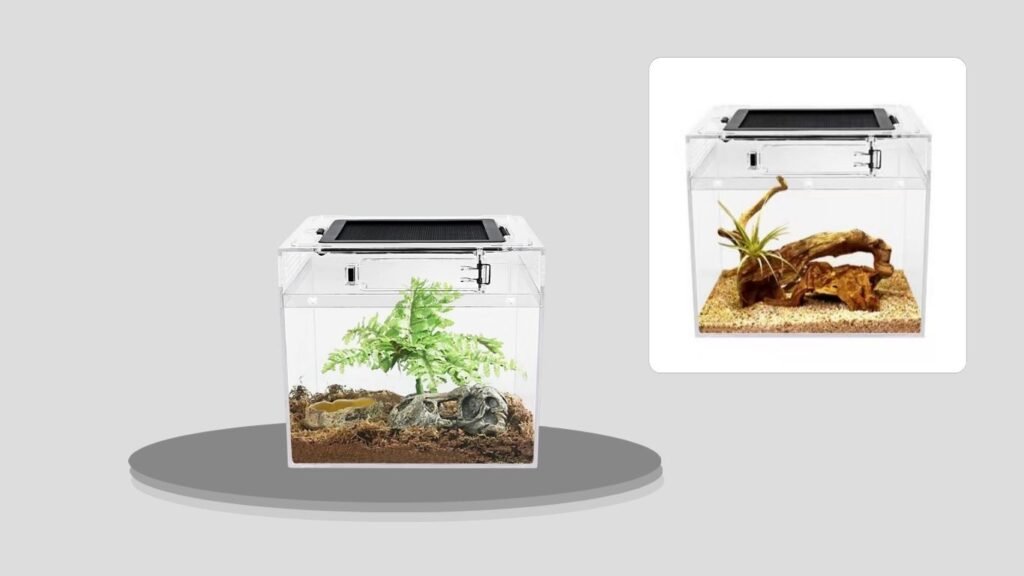 Reptile Growth Mini Spider & Tarantula Starter Kit