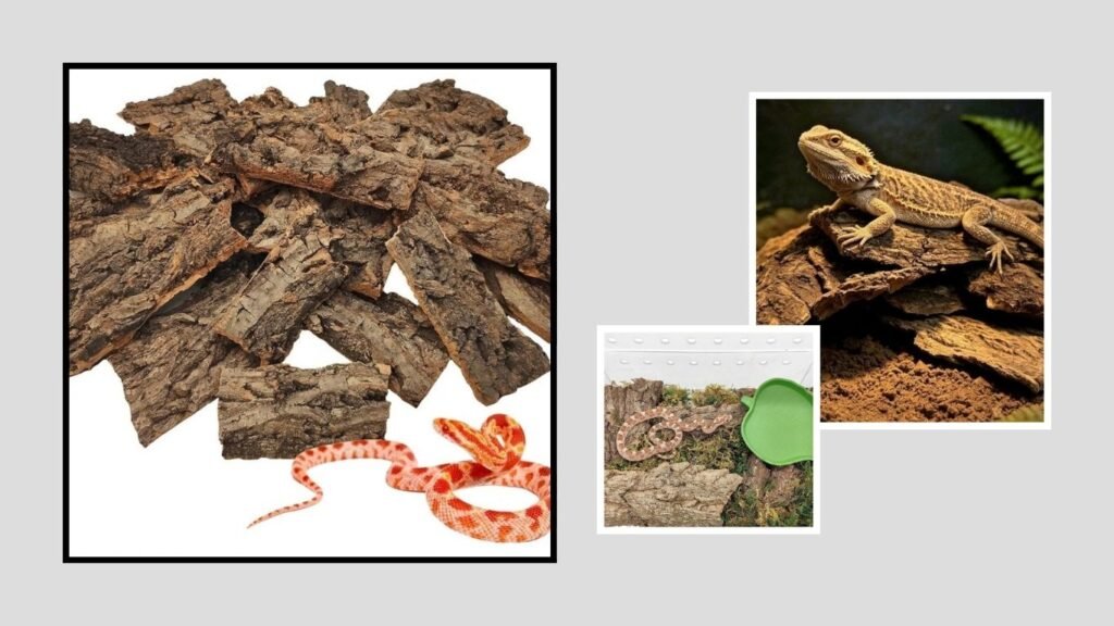 VCEPJH Natural Cork Bark – Best for Bioactive Terrariums
