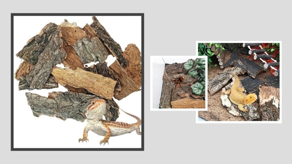 BNOSDM Cork Bark Terrarium Substrate – Best for Decorative Ground Coverage