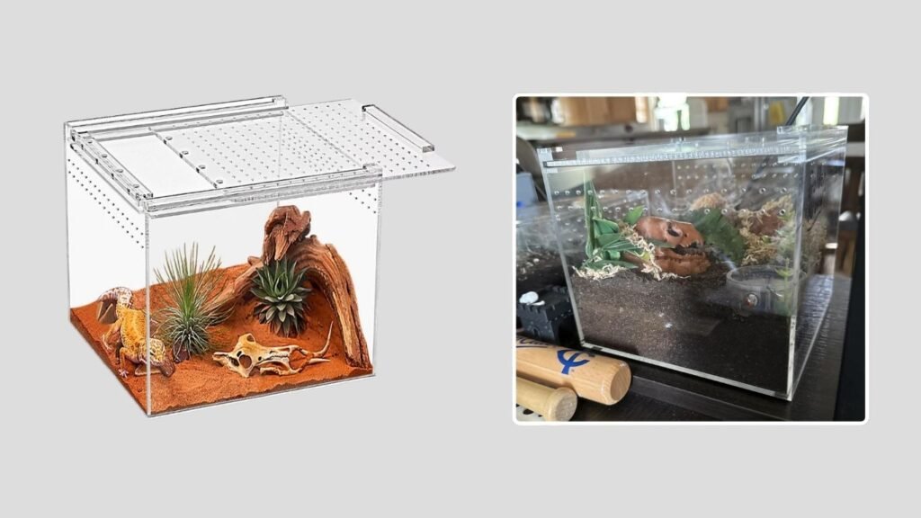KAKOOTI Acrylic Tarantula & Reptile Terrarium