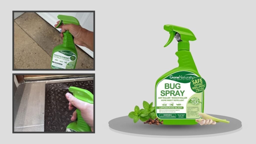 Lemongrass Outdoor Roach & Spider Repellent