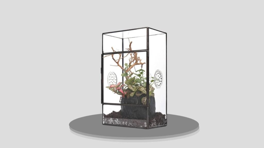 NCYP Glass Terrarium for Jumping Spiders