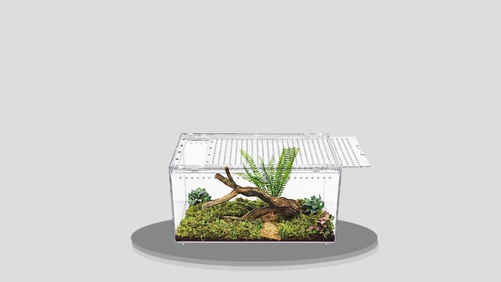 Reptile Growth No-Assembly Tarantula Enclosure