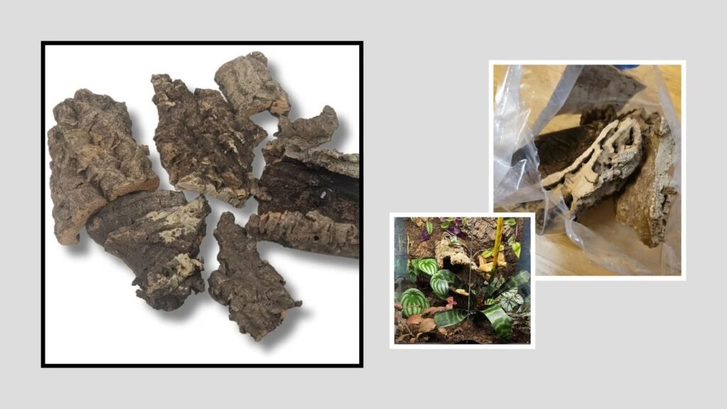 Botanicals Cork Bark Bits – Best for Small Terrarium Species