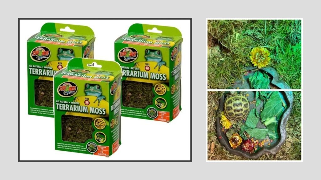Zoo Med Terrarium Moss