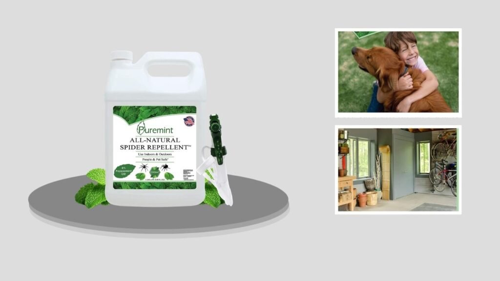 Puremint Natural Peppermint Spider Repellent Spray