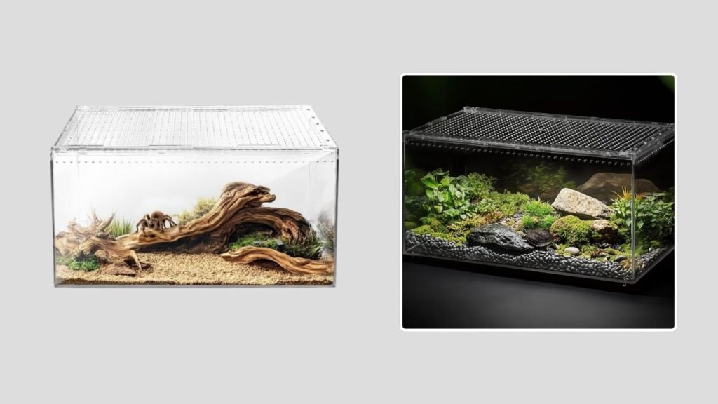 AZV Versatile Tarantula Terrarium