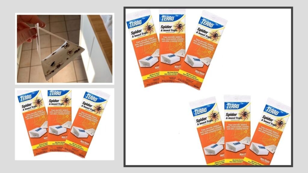  TERRO T3206 Spider & Insect Traps
